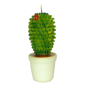 ŚWIECA Kaktus 21 cm